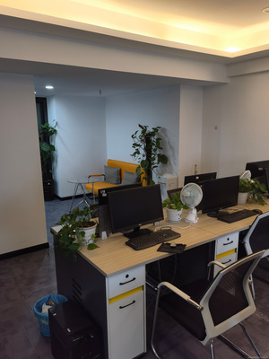 解析重慶誠益贏商務信息咨詢 專業服務助力企業高效發展